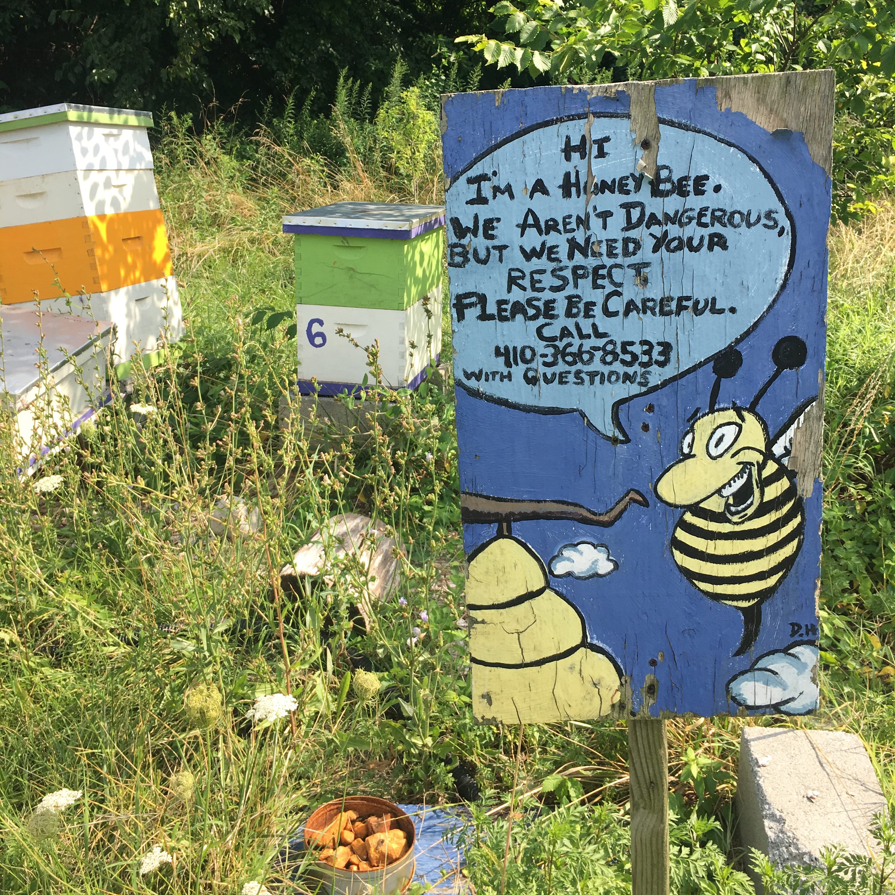 Bees at Real Food Farm in Baltimore, https://civicworks.com/sustainability-food-and-energy/real-food-farm/