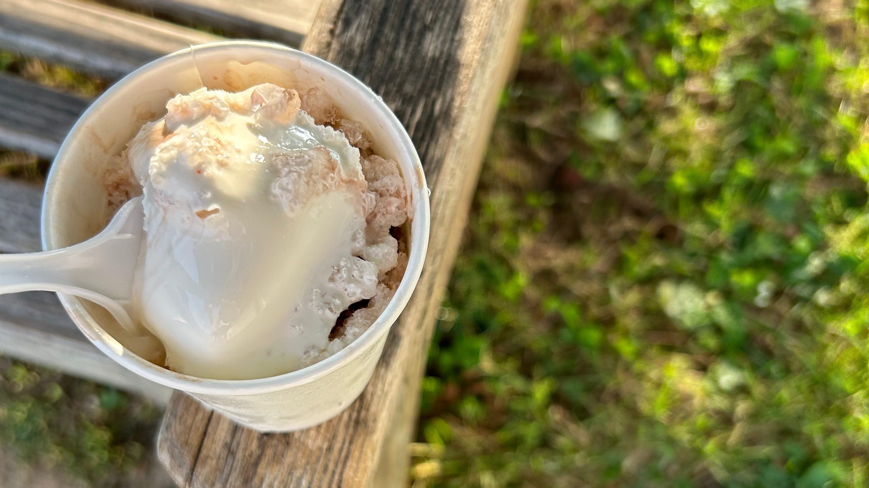 chocolate snowball with vanilla ice cream. 