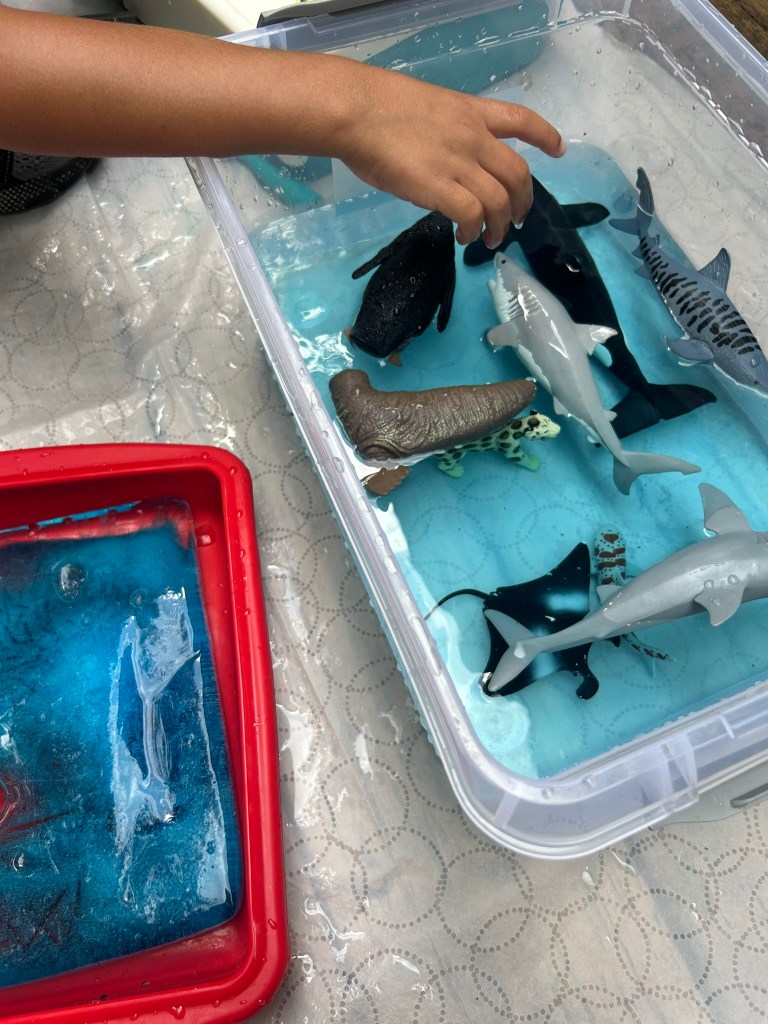 son playing with ice and water during the summer heat