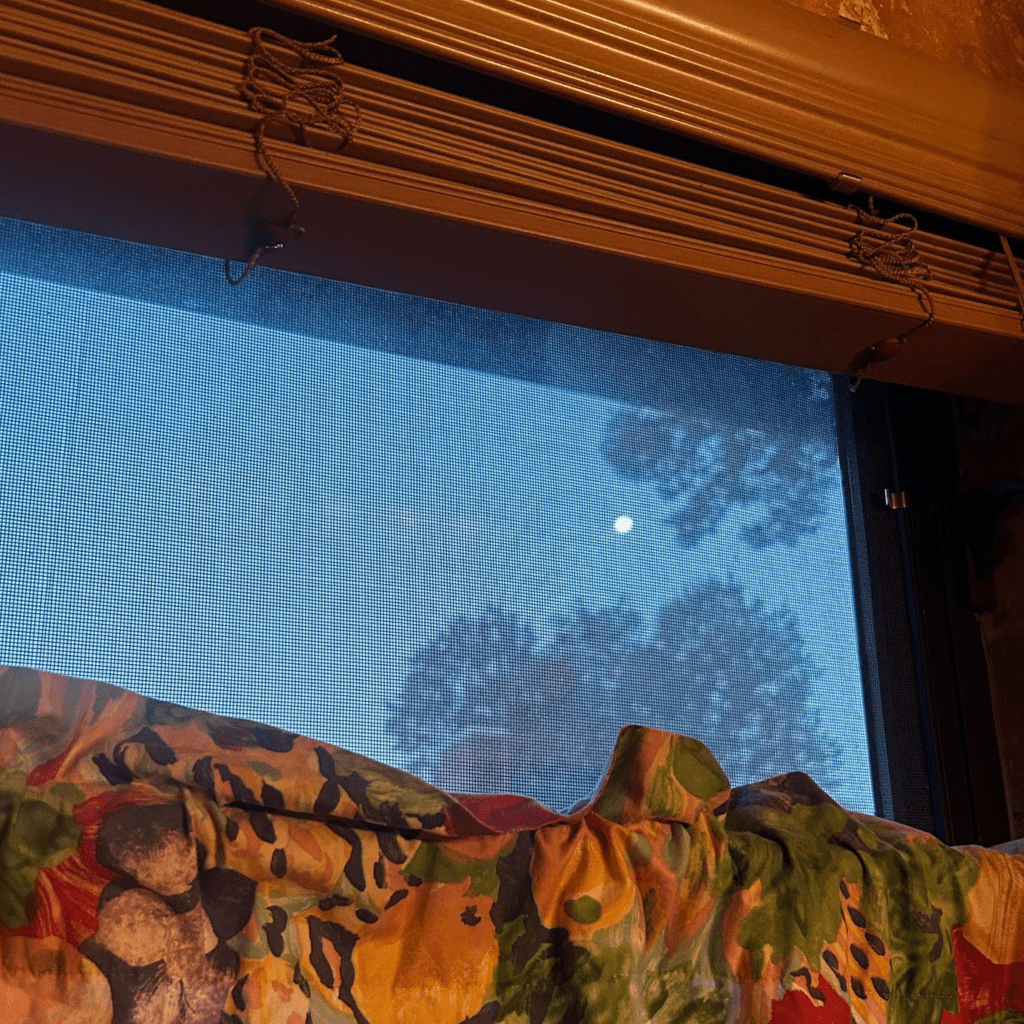 moon in the morning 