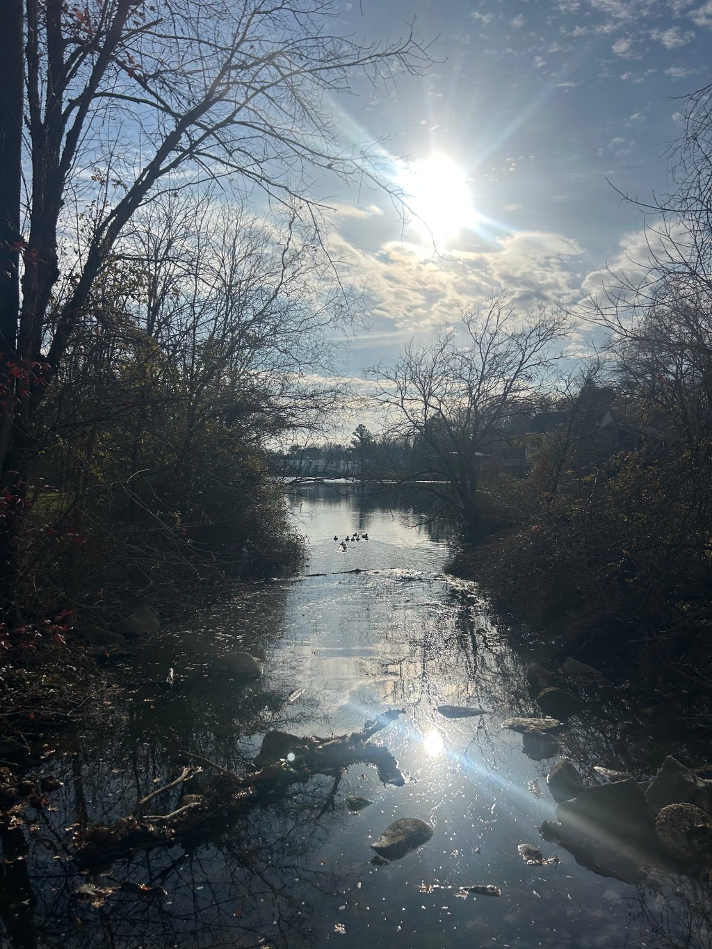 A Place for Us&nbsp;All